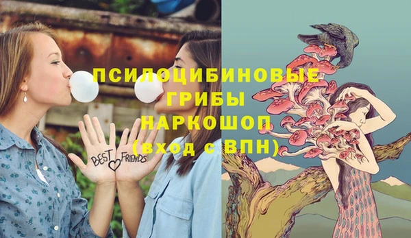 дурь Новодвинск