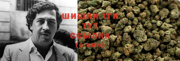 дурь Новодвинск