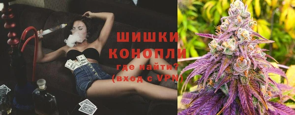дурь Новодвинск
